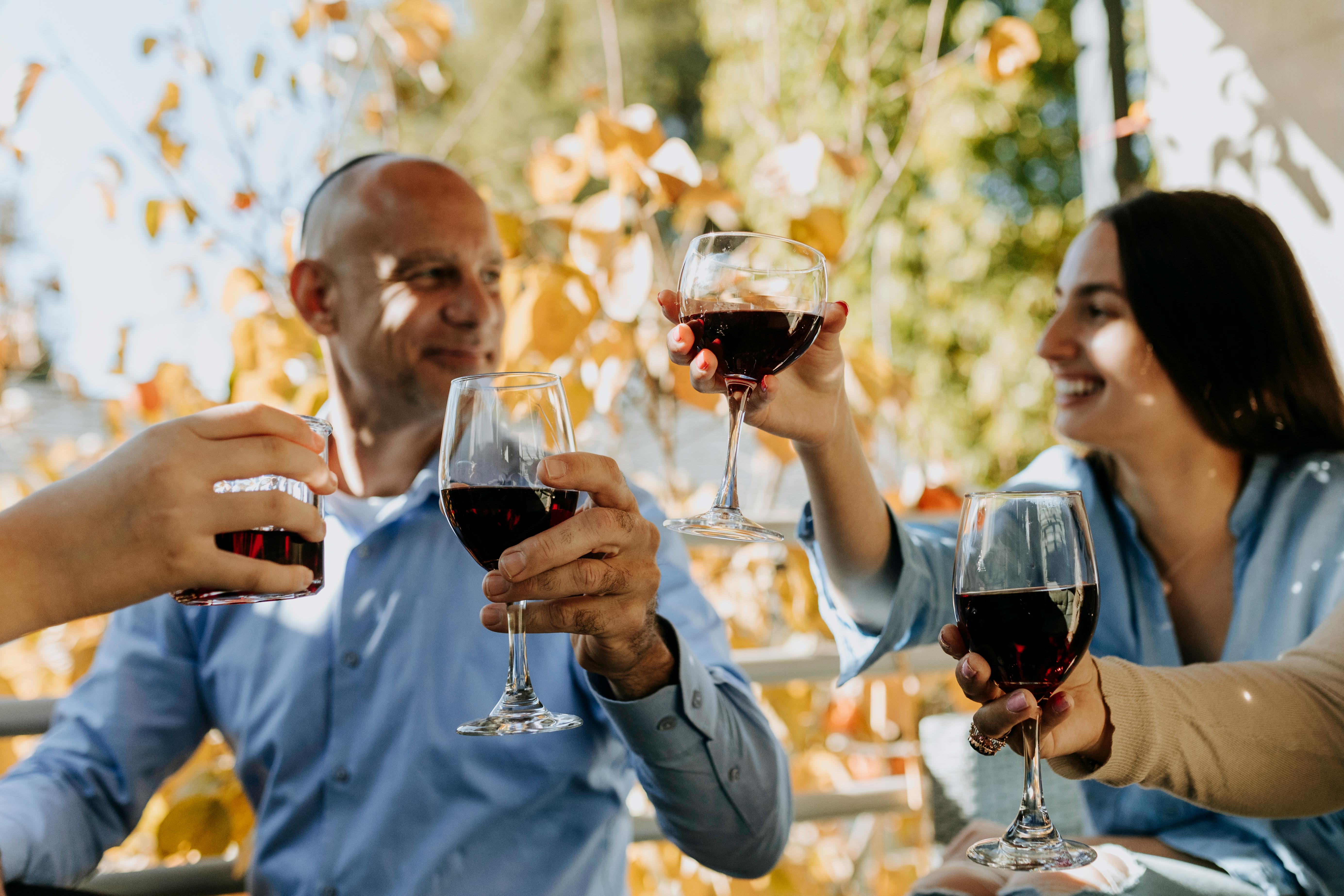 Friends toasting with wine at outdoor gathering